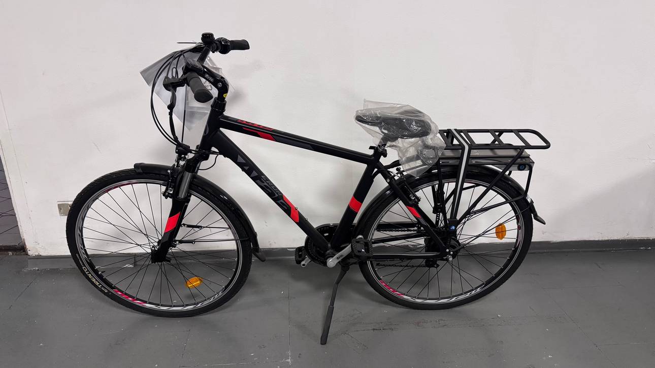 Atala pedalata assistita